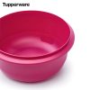 Tupperware Új Generációs Kelesztő Tál 3,5 L