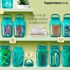 Tupperware Univerzális Fermentáló palack 3 L