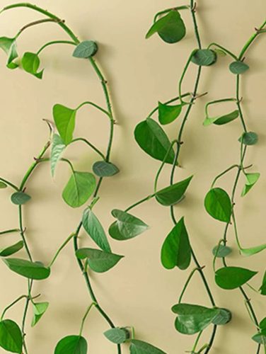 10 db levél formájú kúszónövény rögzítő öntapadóval