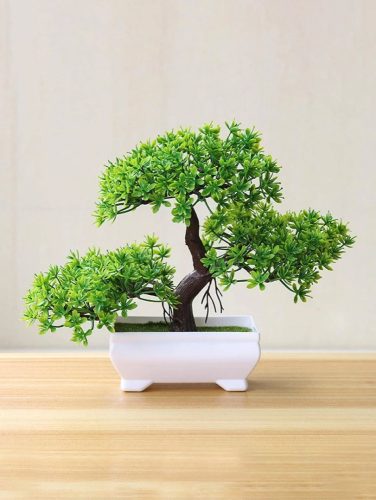 Dekorációs bonsai fa cserépben